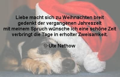 Weihnachtssprüche Kurze Weihnachtswünsche Zu Weihnachten