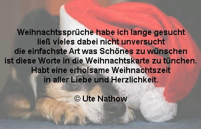 Weihnachtssprüche