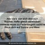 Ferien Sprüche