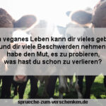 Veganer Sprüche