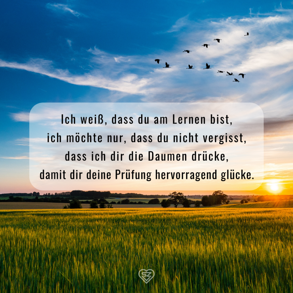 Sprüche zur bevorstehenden Prüfung