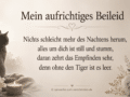 Trauerspruch für Katze